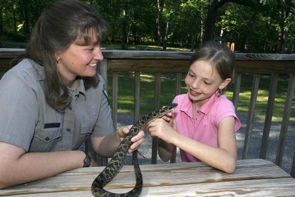 Cacapon State Park Lodge เบิร์กลีย์สปริงส์ ภายนอก รูปภาพ